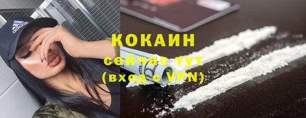 прущие грибы Белоозёрский
