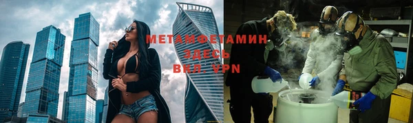 прущие грибы Беломорск