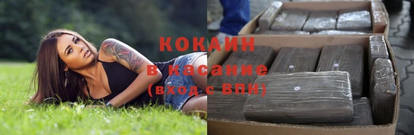 прущие грибы Беломорск