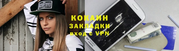 прущие грибы Беломорск