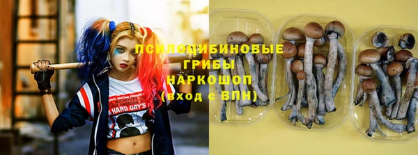 прущие грибы Беломорск
