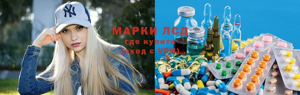 мяу мяу мука Белокуриха